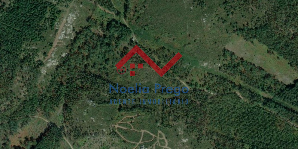 FONTE LEIRAS (Ponteceso)