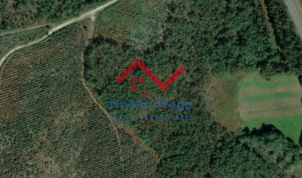 MONTE CALVELO (Ponteceso)