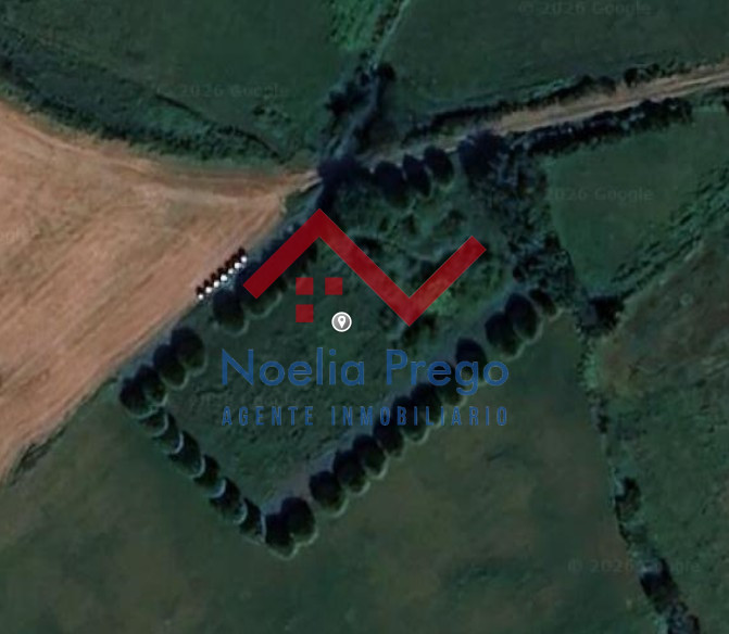 Se vende finca rústica en la parroquia de Lema(Carballo) con arboles frutales.